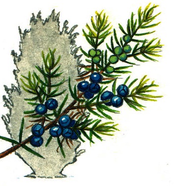 Рисунок 3