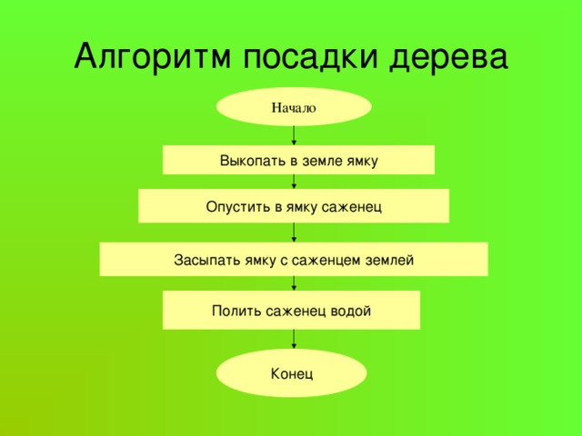 Алгоритм посадки дерева Начало Выкопать в земле ямку Опустить в ямку саженец Засыпать ямку с саженцем землей Полить саженец водой Конец 
