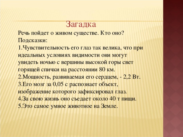 Загадка Речь пойдет о живом существе. Кто оно? Подсказки: Чувствительность его глаз так велика, что при идеальных условиях видимости они могут увидеть ночью с вершины высокой горы свет горящей спички на расстоянии 80 км. Мощность, развиваемая его сердцем, - 2,2 Вт. Его мозг за 0,05 с распознает объект, изображение которого зафиксировал глаз. За свою жизнь оно съедает около 40 т пищи. Это самое умное животное на Земле.  