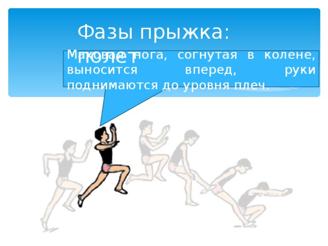 Фазы прыжка: полет Маховая нога, согнутая в колене, выносится вперед, руки поднимаются до уровня плеч. 