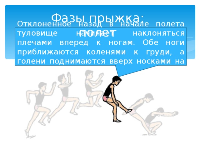 Фазы прыжка: полет Отклоненное назад в начале полета туловище начинает наклоняться плечами вперед к ногам. Обе ноги приближаются коленями к груди, а голени поднимаются вверх носками на себя. 