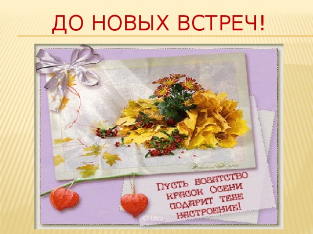 До новых встреч! 