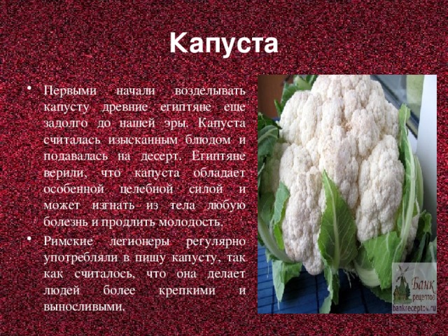 Капуста