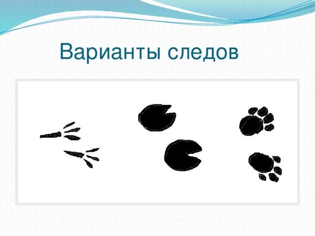 Варианты следов 