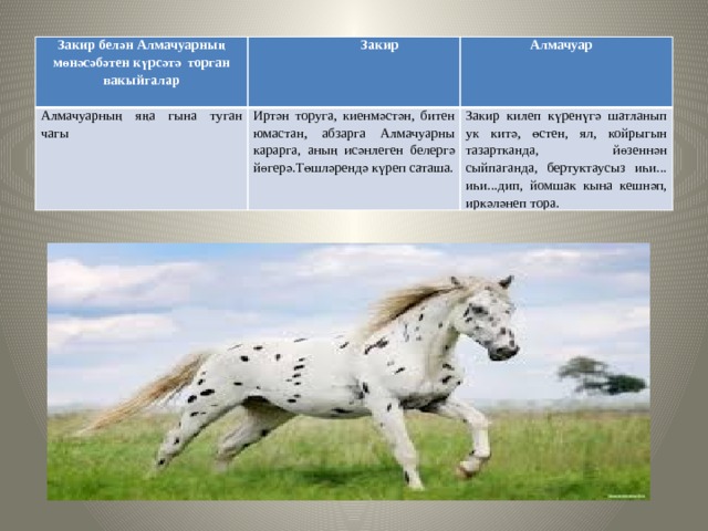 Закир белән Алмачуарның мөнәсәбәтен күрсәтә торган вакыйгалар  Закир Алмачуарның яңа гына туган чагы  Алмачуар Иртән торуга, киенмәстән, битен юмастан, абзарга Алмачуарны карарга, аның исәнлеген белергә йөгерә.Төшләрендә күреп саташа. Закир килеп күренүгә шатланып ук китә, өстен, ял, койрыгын тазартканда, йөзеннән сыйпаганда, бертуктаусыз иһи... иһи...дип, йомшак кына кешнәп, иркәләнеп тора. 