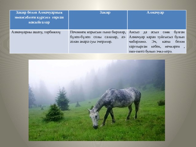 Закир белән Алмачуарның мөнәсәбәтен күрсәтә торган вакыйгалар  Закир Алмачуарны ашату, тәрбияләү  Алмачуар Печәннең корысын гына бирәләр, бүлеп-бүлеп солы салалар, аз- азлап апара суы эчерәләр. Ансыз да асыл сөяк булган Алмачуар карап туйгысыз булып чибәрләнә. Эч, каеш белән тарттырган кебек, нечкәреп , тип-тигез булып эчкә керә. 