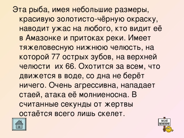 Эта рыба, имея небольшие размеры, красивую золотисто-чёрную окраску, наводит ужас на любого, кто видит её в Амазонке и притоках реки. Имеет тяжеловесную нижнюю челюсть, на которой 77 острых зубов, на верхней челюсти их 66. Охотится за всем, что движется в воде, со дна не берёт ничего. Очень агрессивна, нападает стаей, атака её молниеносна. В считанные секунды от жертвы остаётся всего лишь скелет. 