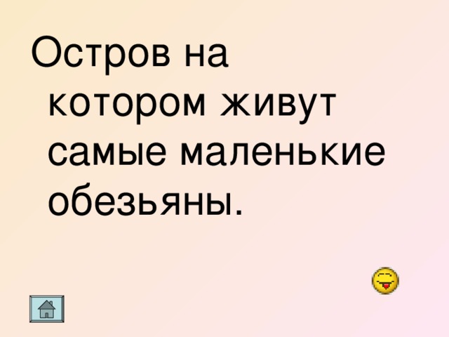 Остров на котором живут самые маленькие обезьяны. 