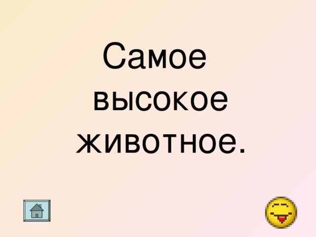 Самое высокое животное. 