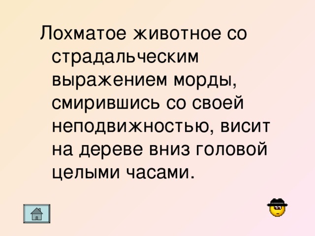 Лохматое животное со страдальческим выражением морды, смирившись со своей неподвижностью, висит на дереве вниз головой целыми часами. 