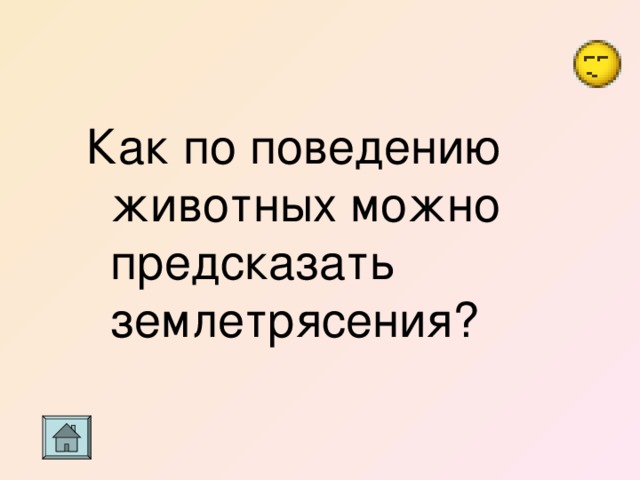 Как по поведению животных можно предсказать землетрясения? 