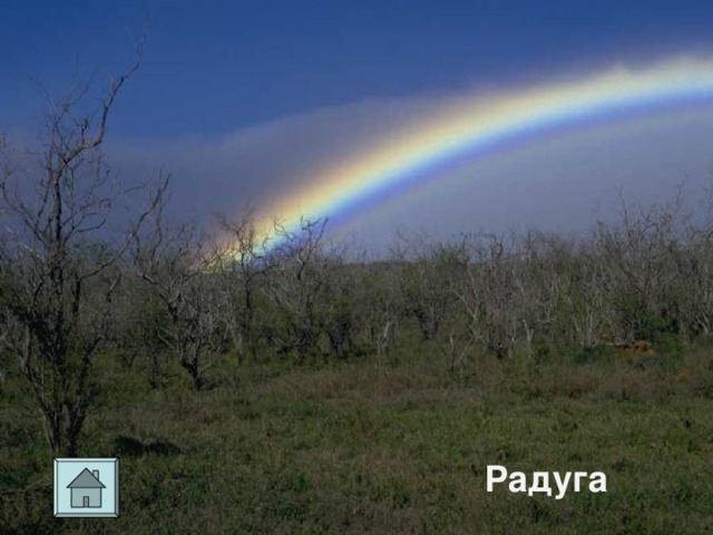 Радуга 