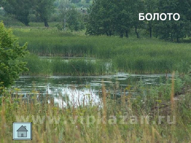БОЛОТО 
