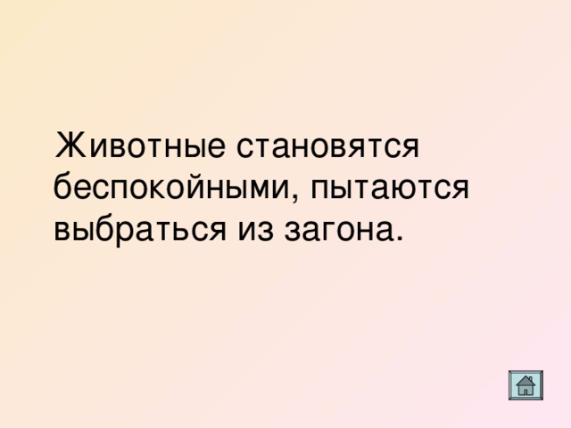 Животные становятся беспокойными, пытаются выбраться из загона. 
