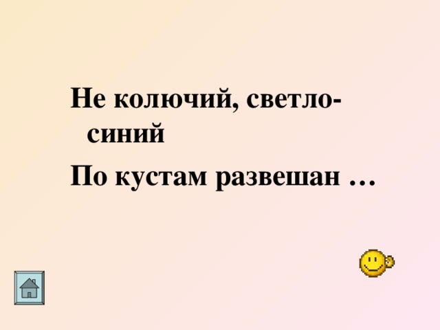  Не колючий, светло-синий По кустам развешан … 