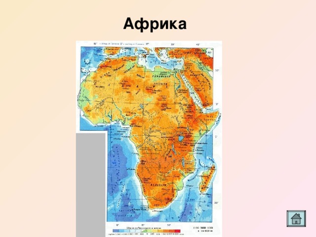 Африка 