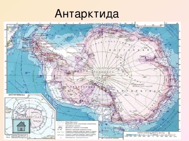 Антарктида 