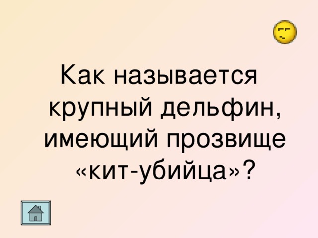 Как называется крупный дельфин, имеющий прозвище «кит-убийца»? 