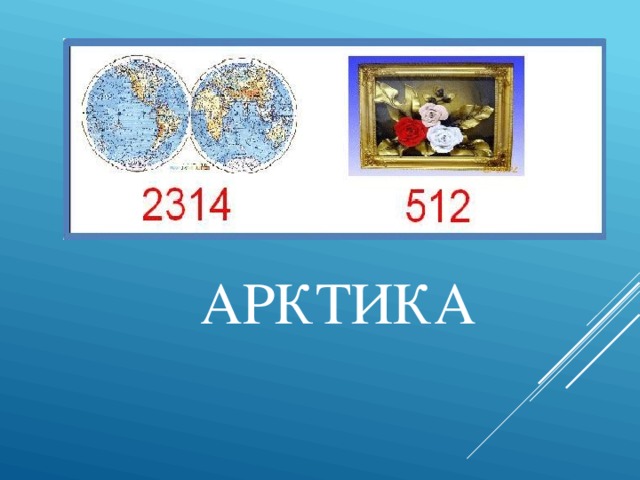 АРКТИКА 