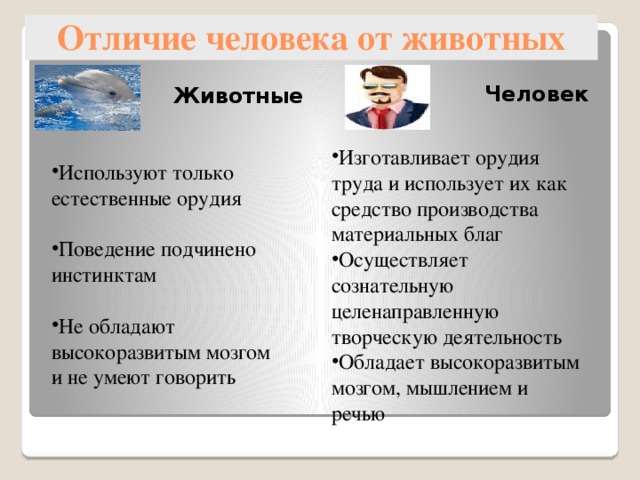 Отличие человека от животных Животные Человек Изготавливает орудия труда и использует их как средство производства материальных благ Осуществляет сознательную целенаправленную творческую деятельность Обладает высокоразвитым мозгом, мышлением и речью Используют только естественные орудия Поведение подчинено инстинктам Не обладают высокоразвитым мозгом и не умеют говорить 