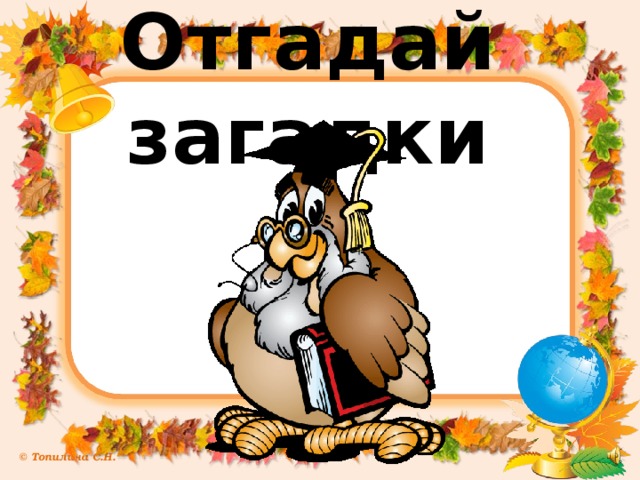 Отгадай загадки