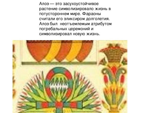 Алоэ — это засухоустойчивое растение символизировало жизнь в потустороннем мире. Фараоны считали его эликсиром долголетия. Алоэ был  неотъемлемым атрибутом погребальных церемоний и символизировал новую жизнь. 