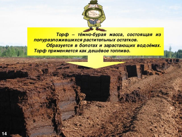 Торф – тёмно-бурая масса, состоящая из полуразложившихся растительных остатков.  Образуется в болотах и зарастающих водоёмах. Торф применяется как дешёвое топливо. 14 