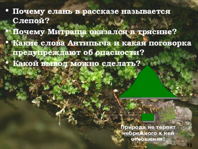 Почему елань в рассказе называется Слепой? Почему Митраша оказался в трясине? Какие слова Антипыча и какая поговорка предупреждают об опасности? Какой вывод можно сделать?  Природа не терпит небрежного к ней отношения! 15 
