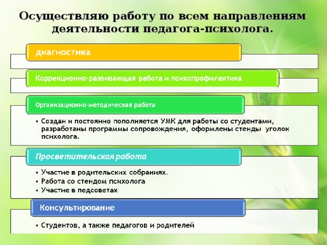 Осуществляю работу по всем направлениям деятельности педагога-психолога. 