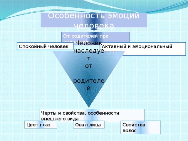 Особенность эмоций человека От родителей при рождении Спокойный человек Активный и эмоциональный человек Человек наследует от  родителей Черты и свойства, особенности внешнего вида Цвет глаз Овал лица Свойства волос 
