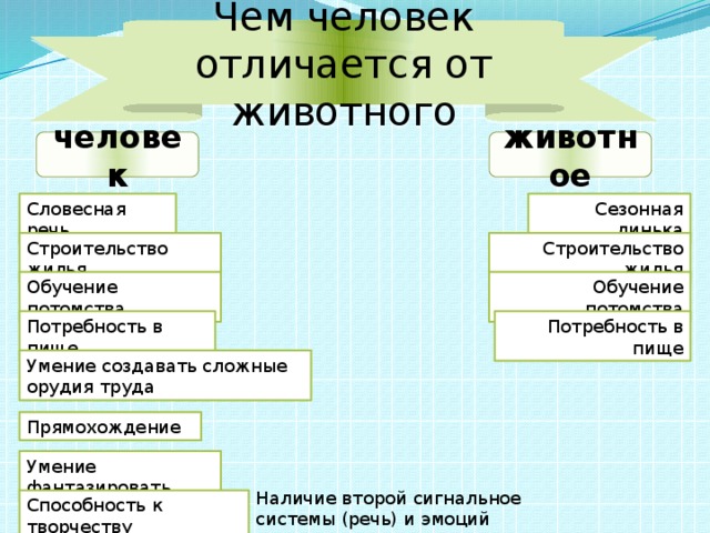 Чем человек отличается от животного человек животное Словесная речь Сезонная линька Строительство жилья Строительство жилья Обучение потомства Обучение потомства Потребность в пище Потребность в пище Умение создавать сложные орудия труда Прямохождение Умение фантазировать Наличие второй сигнальное системы (речь) и эмоций Способность к творчеству 