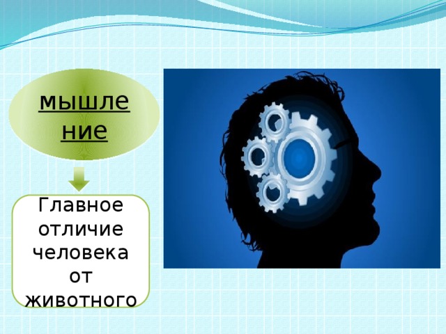 мышление Главное отличие человека от животного 