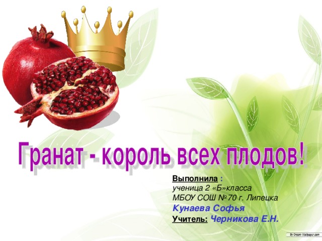 Выполнила  : ученица 2 «Б»класса МБОУ СОШ №70 г. Липецка Кунаева Софья Учитель:  Черникова Е.Н. 