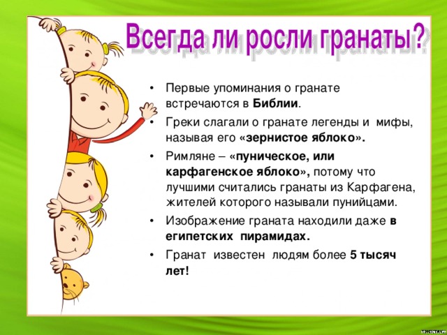 Первые упоминания о гранате встречаются в Библии . Греки слагали о гранате легенды и мифы, называя его «зернистое яблоко». Римляне – «пуническое, или карфагенское яблоко», потому что лучшими считались гранаты из Карфагена, жителей которого называли пунийцами. Изображение граната находили даже в египетских пирамидах. Гранат известен людям более 5 тысяч лет!       