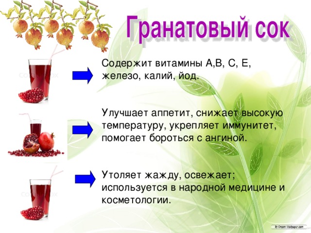 Содержит витамины А,В, С, Е, железо, калий, йод. Улучшает аппетит, снижает высокую температуру, укрепляет иммунитет, помогает бороться с ангиной. Утоляет жажду, освежает; используется в народной медицине и косметологии. 