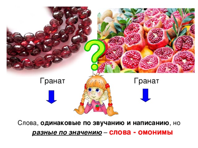  Гранат  Гранат Слова, одинаковые по звучанию и написанию , но разные по значению – слова - омонимы 