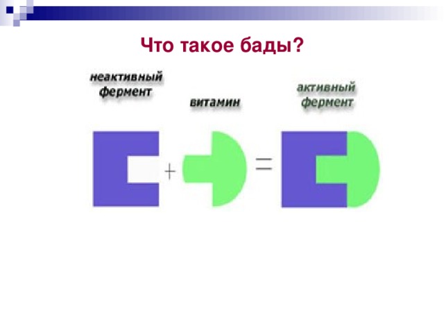 Что такое бады? 