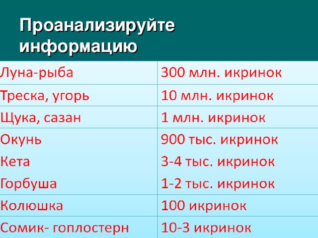 Проанализируйте информацию 