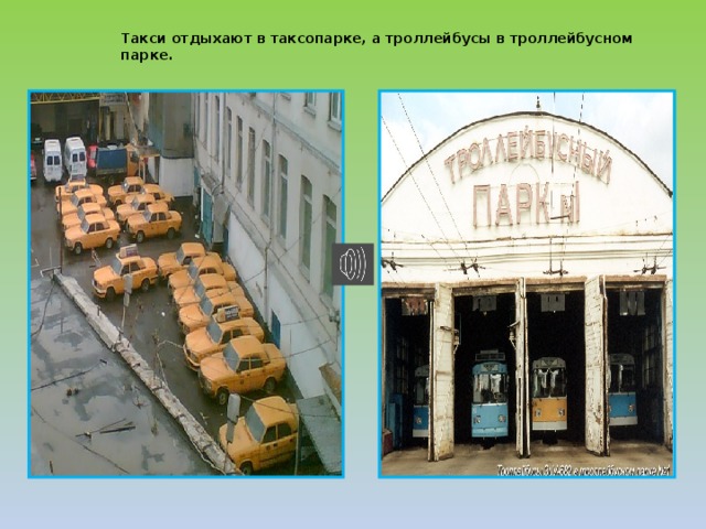 Такси отдыхают в таксопарке, а троллейбусы в троллейбусном парке. 