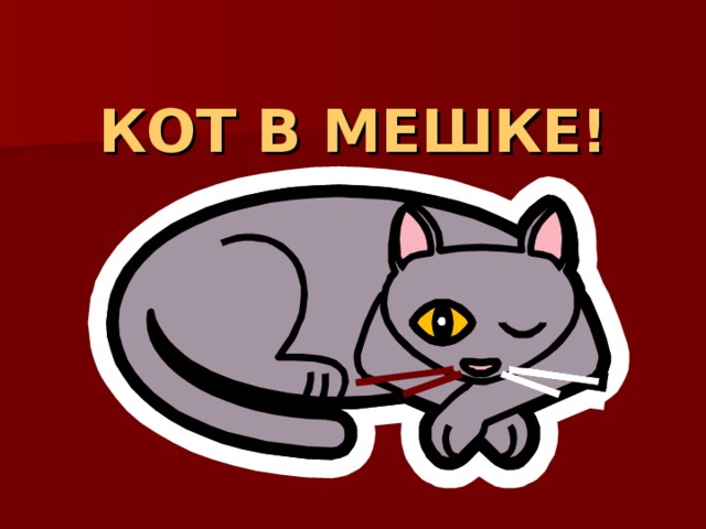 КОТ В МЕШКЕ! 