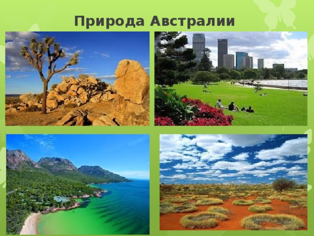 Природа Австралии 