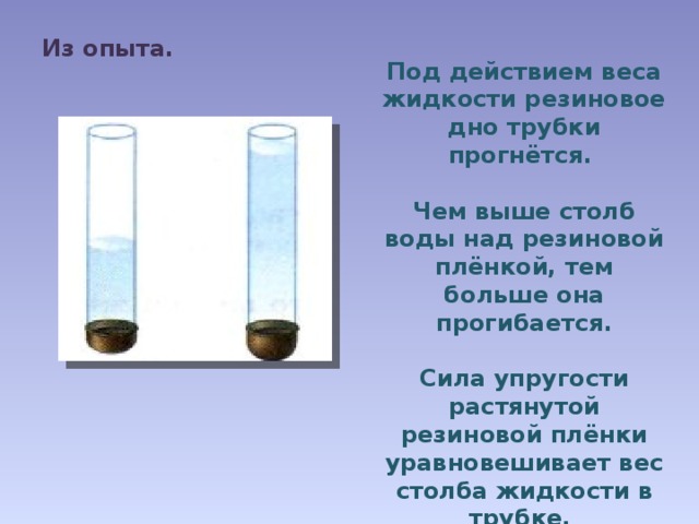 Из опыта. Под действием веса жидкости резиновое дно трубки прогнётся.  Чем выше столб воды над резиновой плёнкой, тем больше она прогибается.  Сила упругости растянутой резиновой плёнки уравновешивает вес столба жидкости в трубке.   