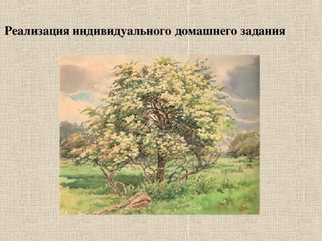 Реализация индивидуального домашнего задания