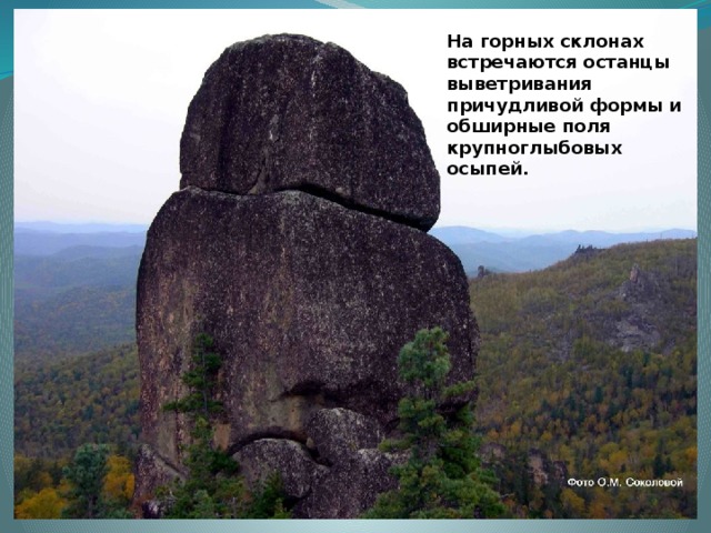 На горных склонах встречаются останцы выветривания причудливой формы и обширные поля крупноглыбовых осыпей. 