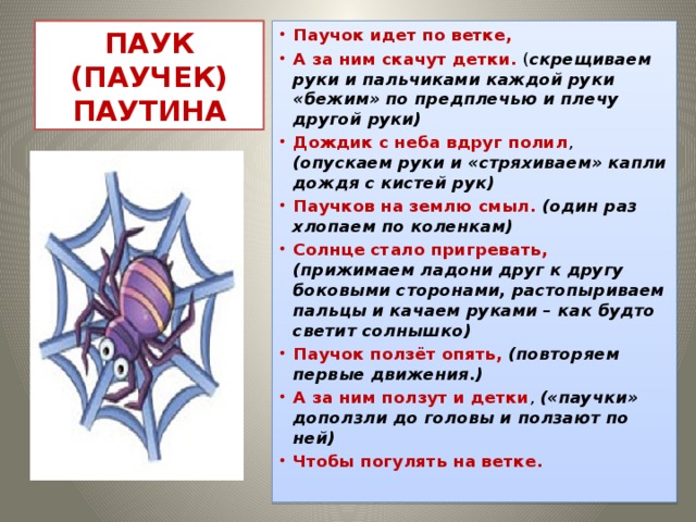 ПАУК  (ПАУЧЕК)  ПАУТИНА Паучок идет по ветке, А за ним скачут детки. ( скрещиваем руки и пальчиками каждой руки «бежим» по предплечью и плечу другой руки) Дождик с неба вдруг полил , (опускаем руки и «стряхиваем» капли дождя с кистей рук) Паучков на землю смыл. (один раз хлопаем по коленкам) Солнце стало пригревать, (прижимаем ладони друг к другу боковыми сторонами, растопыриваем пальцы и качаем руками – как будто светит солнышко) Паучок ползёт опять, (повторяем первые движения.) А за ним ползут и детки , («паучки» доползли до головы и ползают по ней) Чтобы погулять на ветке.  