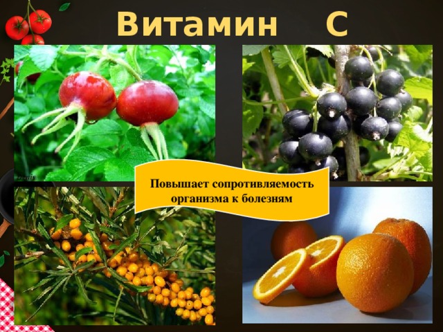 Витамин С Повышает сопротивляемость организма к болезням 