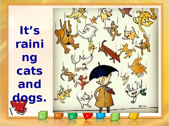 It’s raining  cats and dogs. 