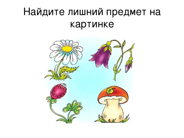 Найдите лишний предмет на картинке 