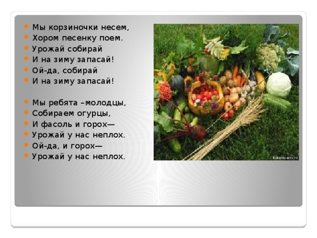 Мы корзиночки несем, Хором песенку поем. Урожай собирай И на зиму запасай! Ой-да, собирай И на зиму запасай! Мы ребята –молодцы, Собираем огурцы, И фасоль и горох— Урожай у нас неплох. Ой-да, и горох— Урожай у нас неплох. 