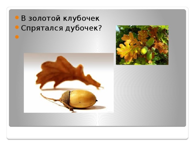 В золотой клубочек Спрятался дубочек? 